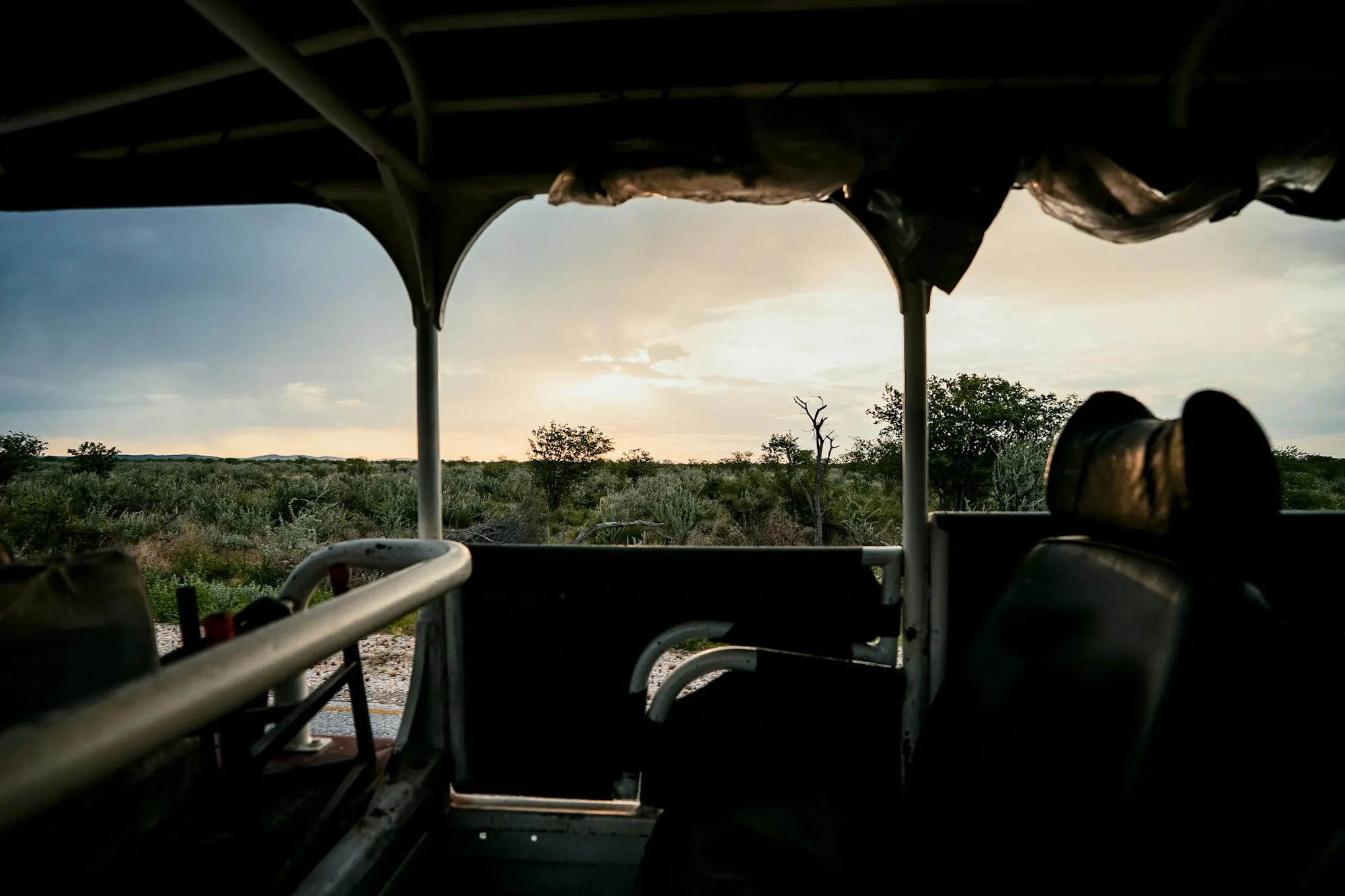 The view from inside an open game drive vehicle at sunset