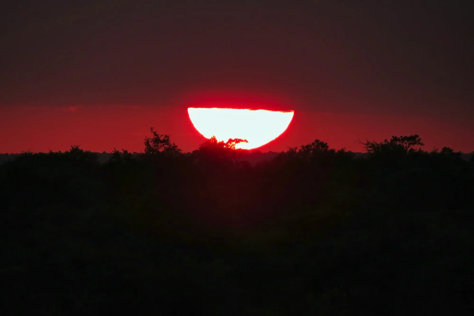 A red sun setting over the bush near Skukuza in Kruger